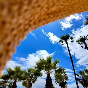 Meet your Posher, Charlotte